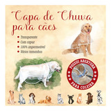 Capa Pet Chuva Capuz Cães Transparente Raças Grande