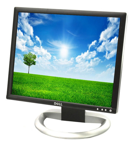 Monitor Dell 1907fpc/1908fpc Lcd 19 Pulgadas (dvi-vga)