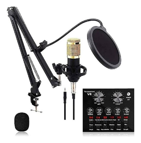 Microfono Condensador Profesional Studio Kit Hamelin
