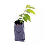 Saco Plástico Para Mudas De Plantas 30x40 Cm 500 Sacos