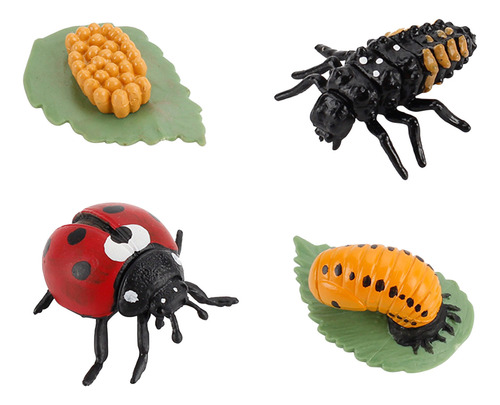 Figura De Insectos Con Forma De Ciclo De Vida De 4 Piezas, C