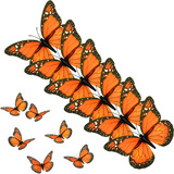 Decoraciones Aguas De Mariposa Monarca, 4.72 Pulgadas, Color