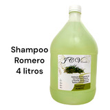 Shampoo Romero 4 Litros - mL a $10