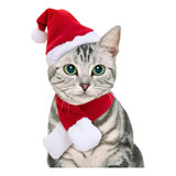 Namsan Disfraz De Gato De Navidad Para Perro  Sombrero De Pa