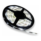 Tira Led  5050 Blanco Frio Para Interior 12v