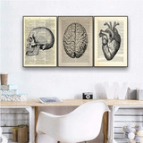 Quadro Decorativo Consultório Coração Cérebro Medicina 3pç