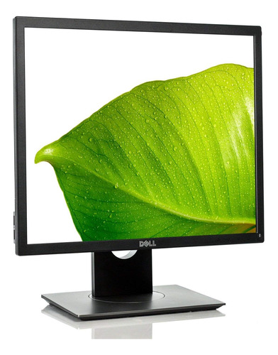 Monitor Dell 19´ E1917s Vga, Hdmi, Usb Widescreen Square