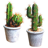 Plantas Suculentas Artificiales, Decoración De Cactus ...
