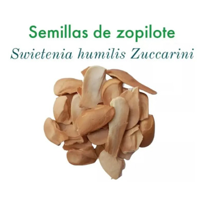 Semilla Del Zopilote Zopilopaztle Caobo O Venadillo 500g | MercadoLibre