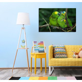 Vinilo Decorativo 30x45cm Loro Hablador Animal Ave Amazona