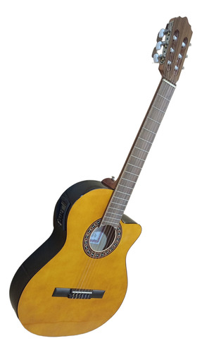 Guitarra Electrocriolla Fonseca 38kecm Artec - Plus