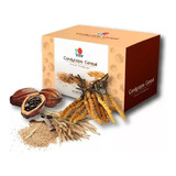 Cereal Cordyceps Dxn