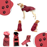 Abrigo Impermeable Para Mascotas, Dina