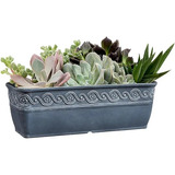 Maceta De Plantas Rectangular Azul Pizarra En Recina 26cm 