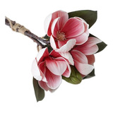 , Arreglo Floral, Orquídea Sintética, Fruta, Magnolia ,