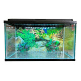 Pecera 40 Litros + Tapa Iluminación Led Acuario + Respaldo