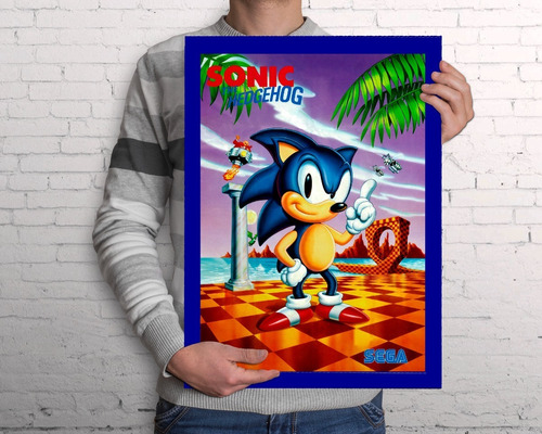 Quadro Do Sonic A3 - Com Acrílico Na Frente - 45.5 X 33 Cm