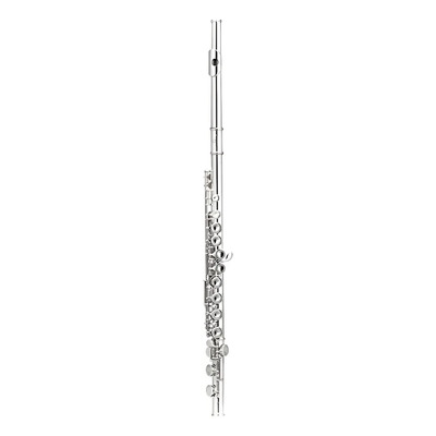 Silvertone Slft001 Flauta Transversal Plata 16 Llaves Do | Meses sin interés