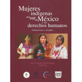 Mujeres Indígenas Del Sur De Mexico Y Sus Derechos Humanos