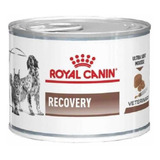 Alimento Royal Canin Veterinary Diet Canine Recovery Para Perro Adulto Todos Los Tamaños Sabor Mix En Lata De 165 g