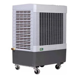 Cooler Enfriador Evaporativo Portátil Ptc3600 Practicool 