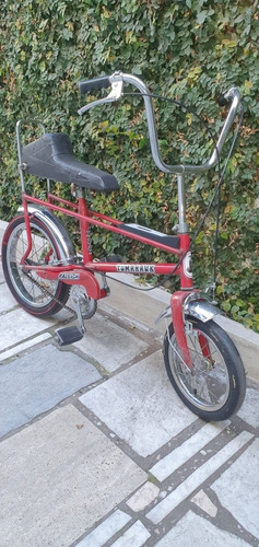 Bicicleta Mini Chopper Raleigh