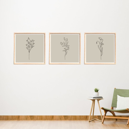 Set X3 - Cuadros Decorativos - Botanicos - 20x20