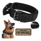 Collar Tactico Mejorado Para Perro, Collar Militar Para Perr