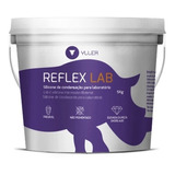 Silicone Para Muralha Yller Reflex Lab 5kg