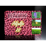 Semilla De Alfalfa Rr 20kg Envíos, Mejor Precio!!!