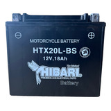 Bateria Moto De Agua Seadoo Yamaha Kawasaki Htx20l-bs Ytx20l