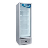 Freezer Exhibidor Vertical Estatico Bte 375 Teora A Domicili