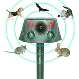 Repelente Solar Con Sensor De Movimiento, Compatible Con Rat