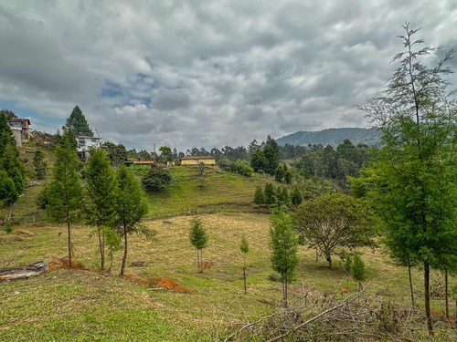 Lotes En Guarne Antioquia Gran Oportunidad De Invertir