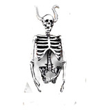 Ghost Store Lm Collar Hombre Esqueleto Calavera Acero Inox 