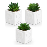 Woodword Plantas Suculentas Falsas Artificiales Para Bano, D