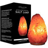Lámpara De Sal Del Himalaya Cristal Natural De Sal Evolución