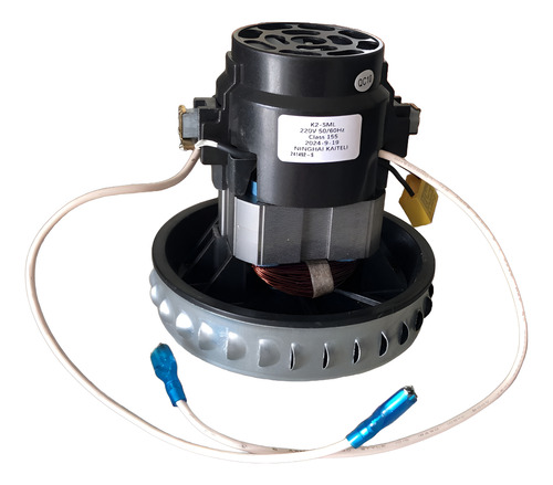 Motor Gt12i 220v Electrolux Para Aspirador De Pó E Água