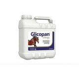 2 X Glicopan Energy 5 Litro - Vitamina Vetnil (original) 