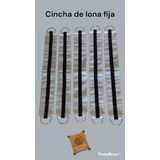 Cincha De Lona Fija Comun - Recado - Caballo - Talabarteria