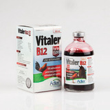 Vitamina B12 Forte 5500 De 100ml