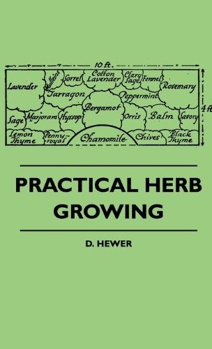 Practical Herb Growing