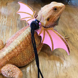 Lizards Leash Bearded Dragon Adjustable Small Reptile Animal