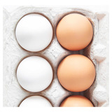 Huevos Grandes Yema Pigmentada (x Mayor -leer Descripción)