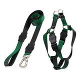 Kit Para Cachorros Pequeno Porte Guia + Peitoral Namu