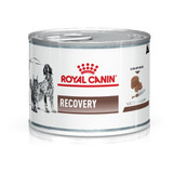 Royal Canin Recovery Gatos Y Perros X 195 Gr Kangoopet