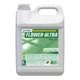 Desinfectante Limpiador De Piso Flower Bidon 5lts. Pino