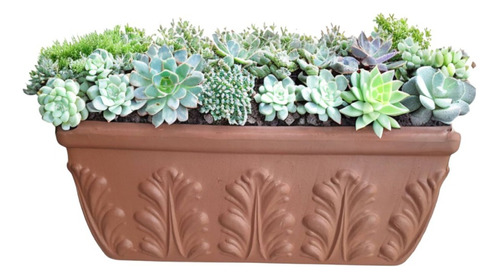 Jardinera Rectangular Romana Terracota Relieve 42cm Deroma