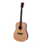 Guitarra Acustica Dreadnought 41'' Con Funda