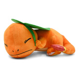 Peluche Charmander Pokémon Ash Cubriéndose De La Lluvia 